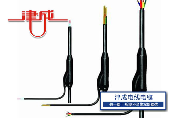 預製分支電纜