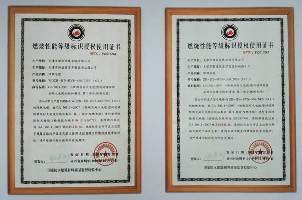 燃（rán）燒性（xìng）能（néng）登記標識授權
