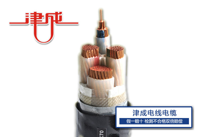 0.6/1KV聚氯乙烯絕緣電力電纜