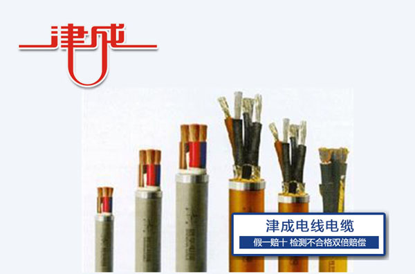 津（jīn）成特種電纜